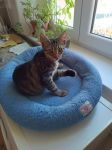 IMG-20250216-WA0000a.jpg