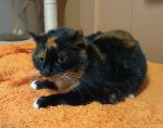 IMG-20260326-WA0000zoe.jpg